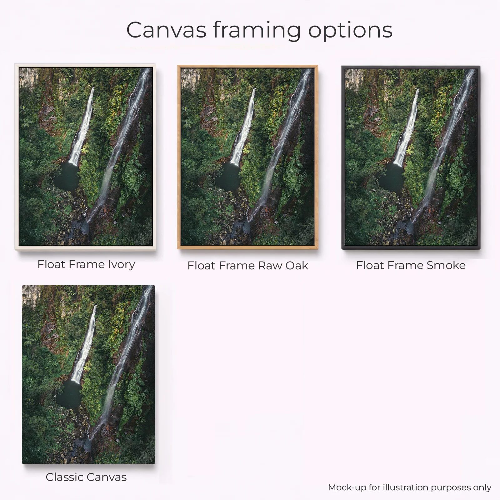 Lamington National Park - Coomera Falls - Image 2