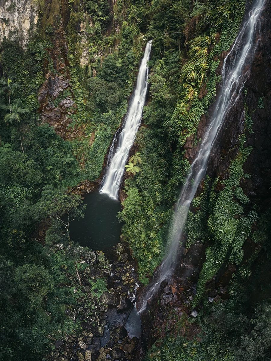 Lamington National Park - Coomera Falls