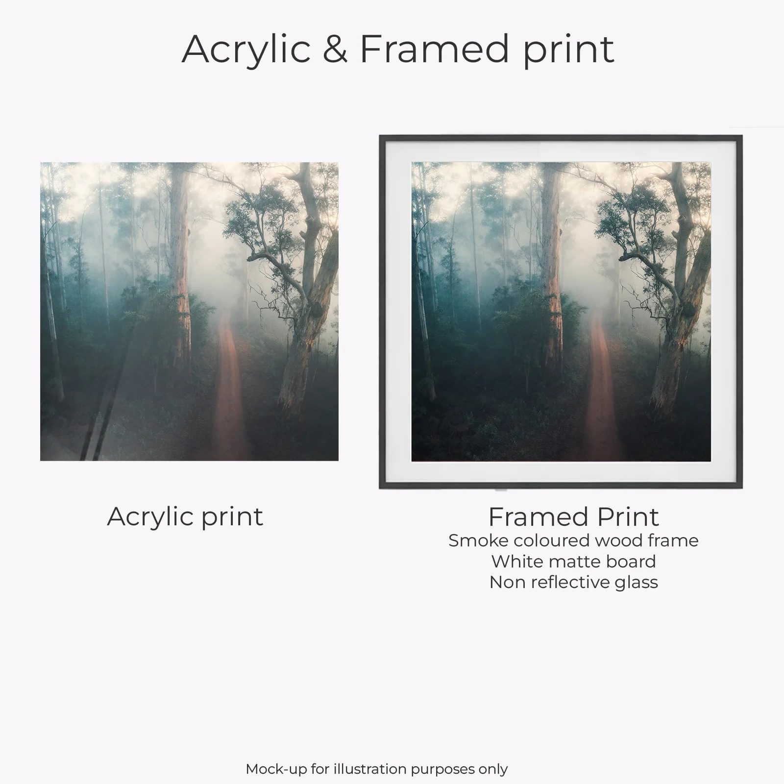 Pemberton - Warren National Park - Image 2