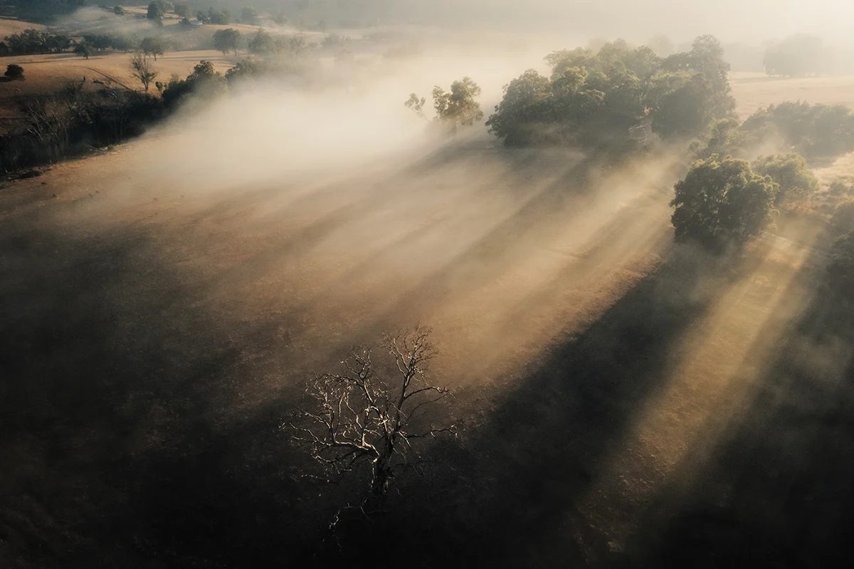 Bridgetown - Hills Foggy Rays