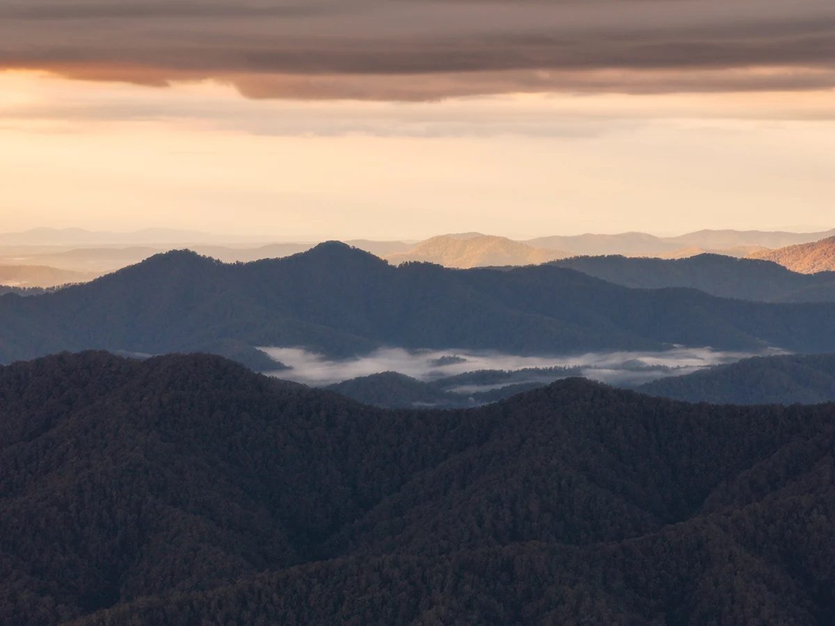 Northern Tablelands - Dorrigo Lookout