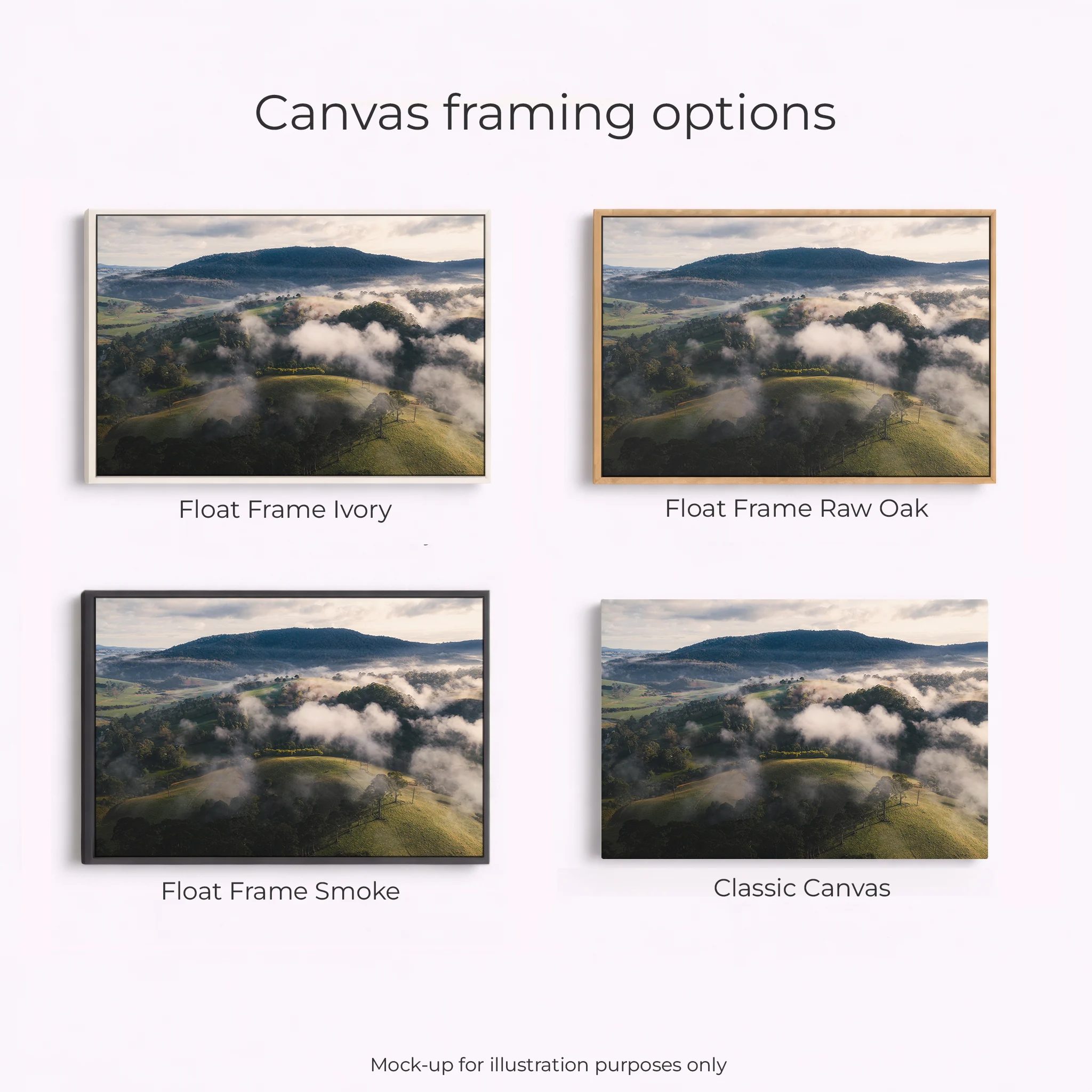 Northern Tablelands - Dorrigo Hills - Image 3