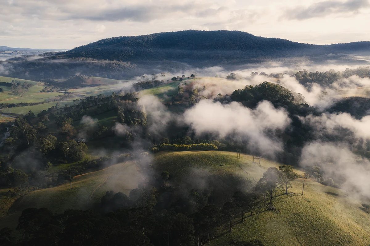 Northern Tablelands - Dorrigo Hills