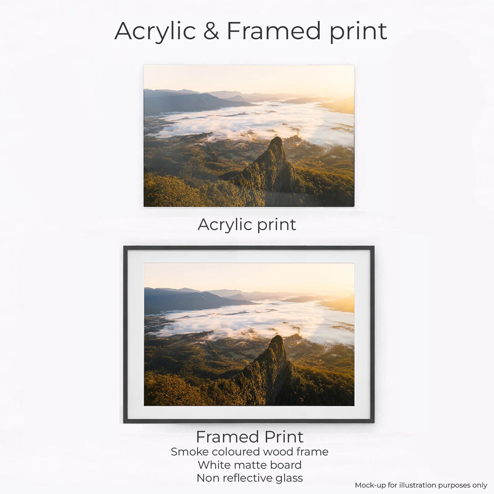 Border Ranges National Park - Cloudy Sunrise - Image 2