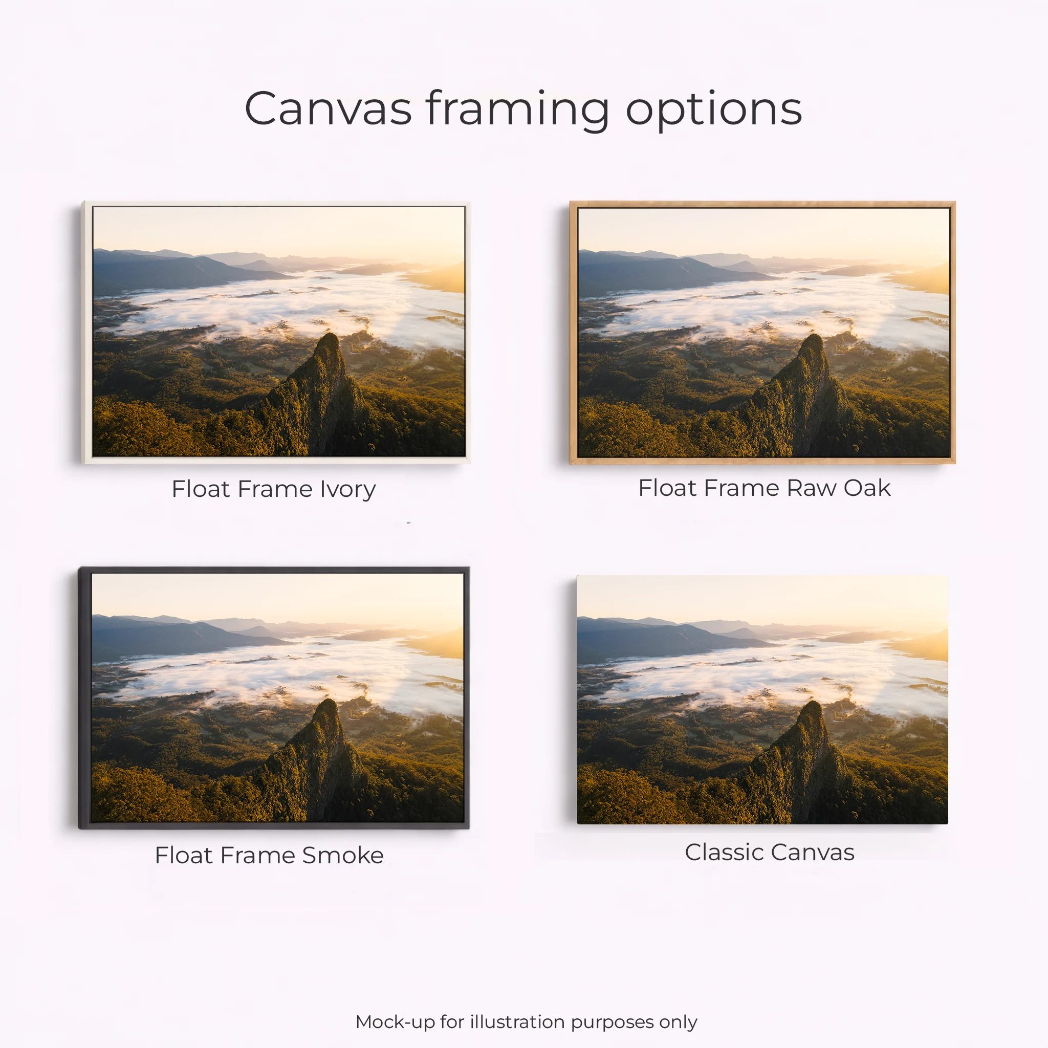 Border Ranges National Park - Cloudy Sunrise - Image 3