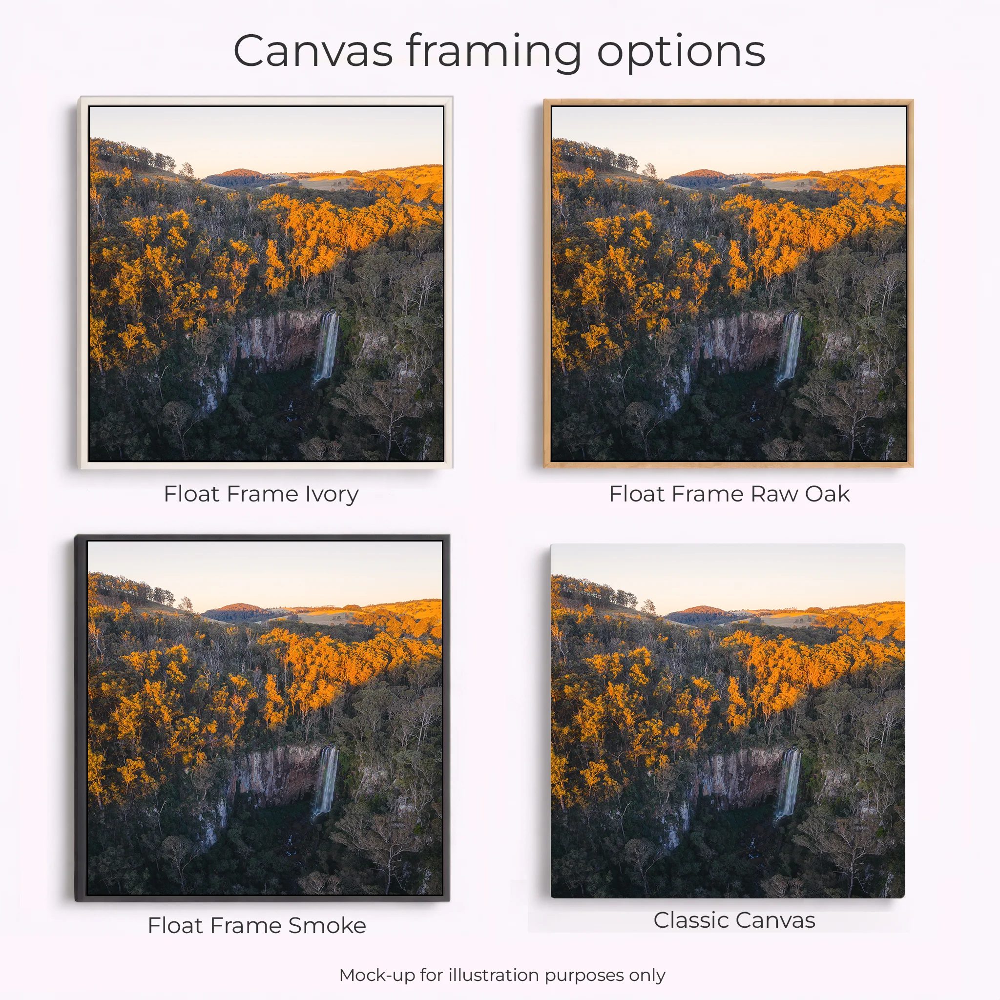 Scenic Rim - Queen Mary Falls - Image 2