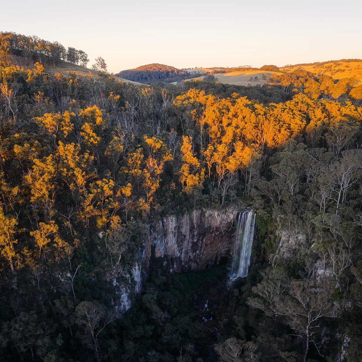 Scenic Rim - Queen Mary Falls