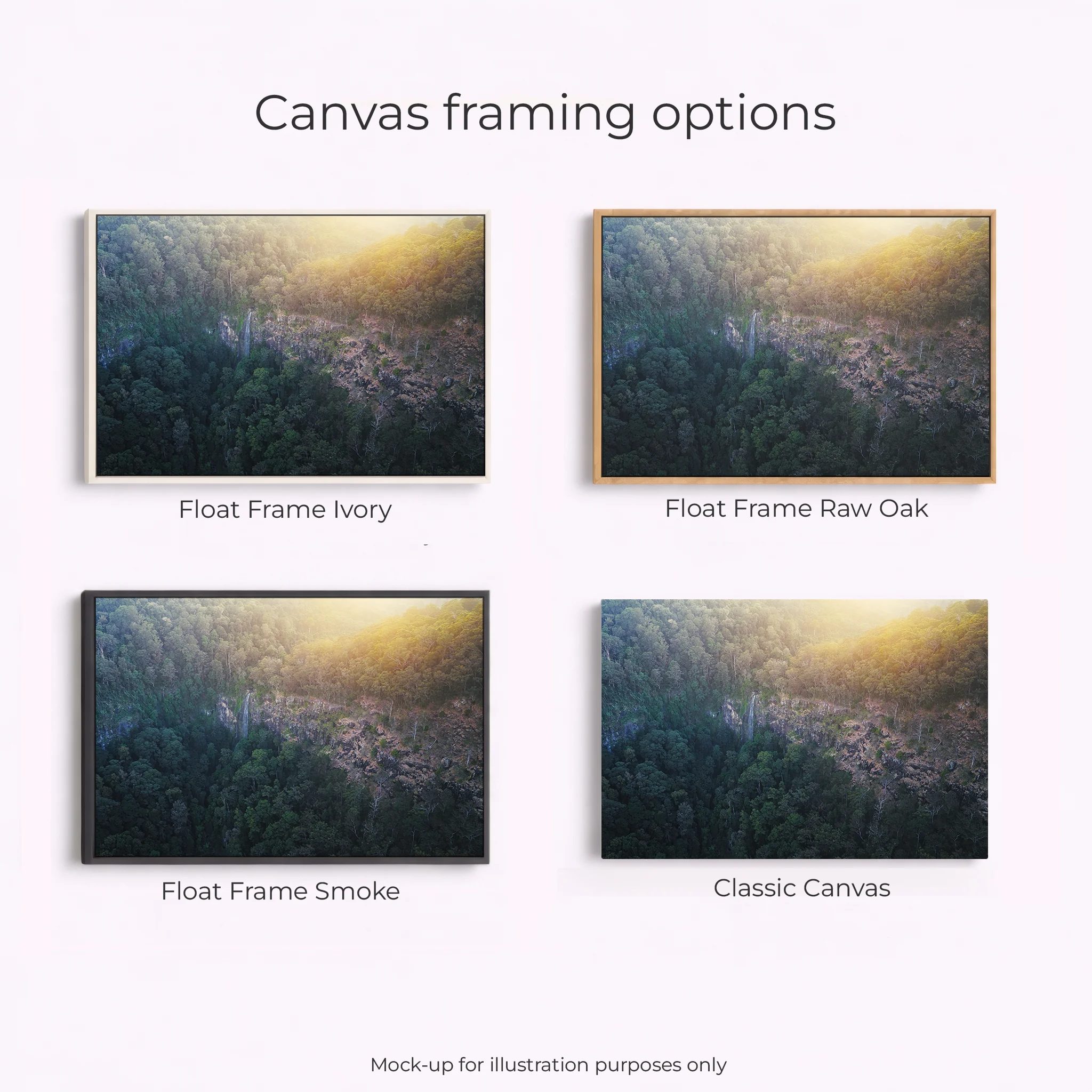 Lamington National Park - Morans Falls - Image 2