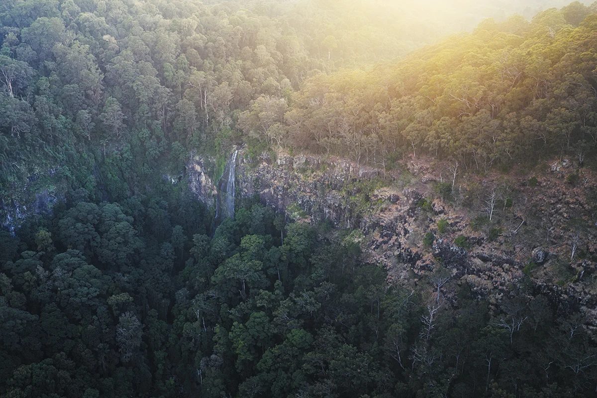 Lamington National Park - Morans Falls
