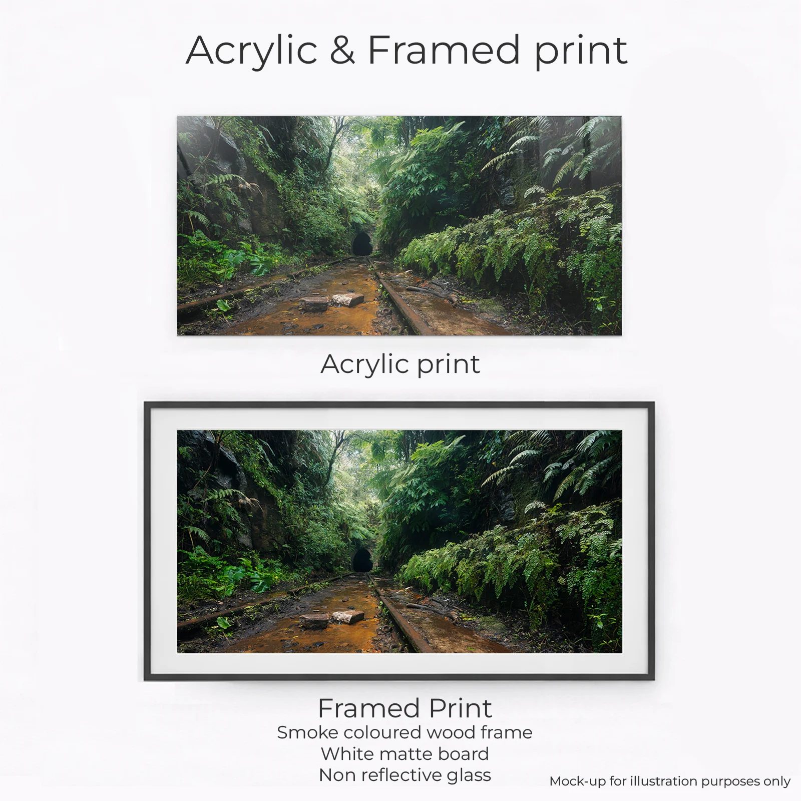 Illawarra Coast - Old Train Tunnel - Image 2