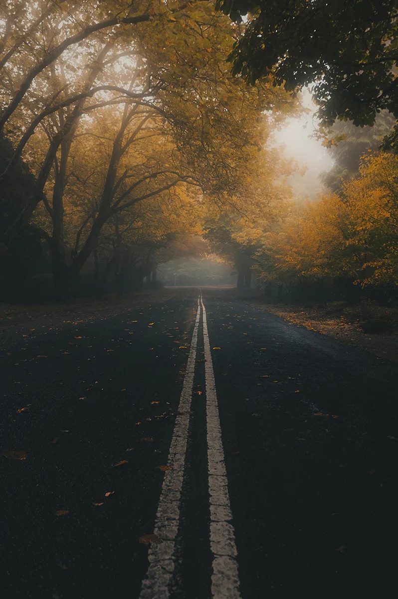 Blue Mountains - Mount Wilson Village