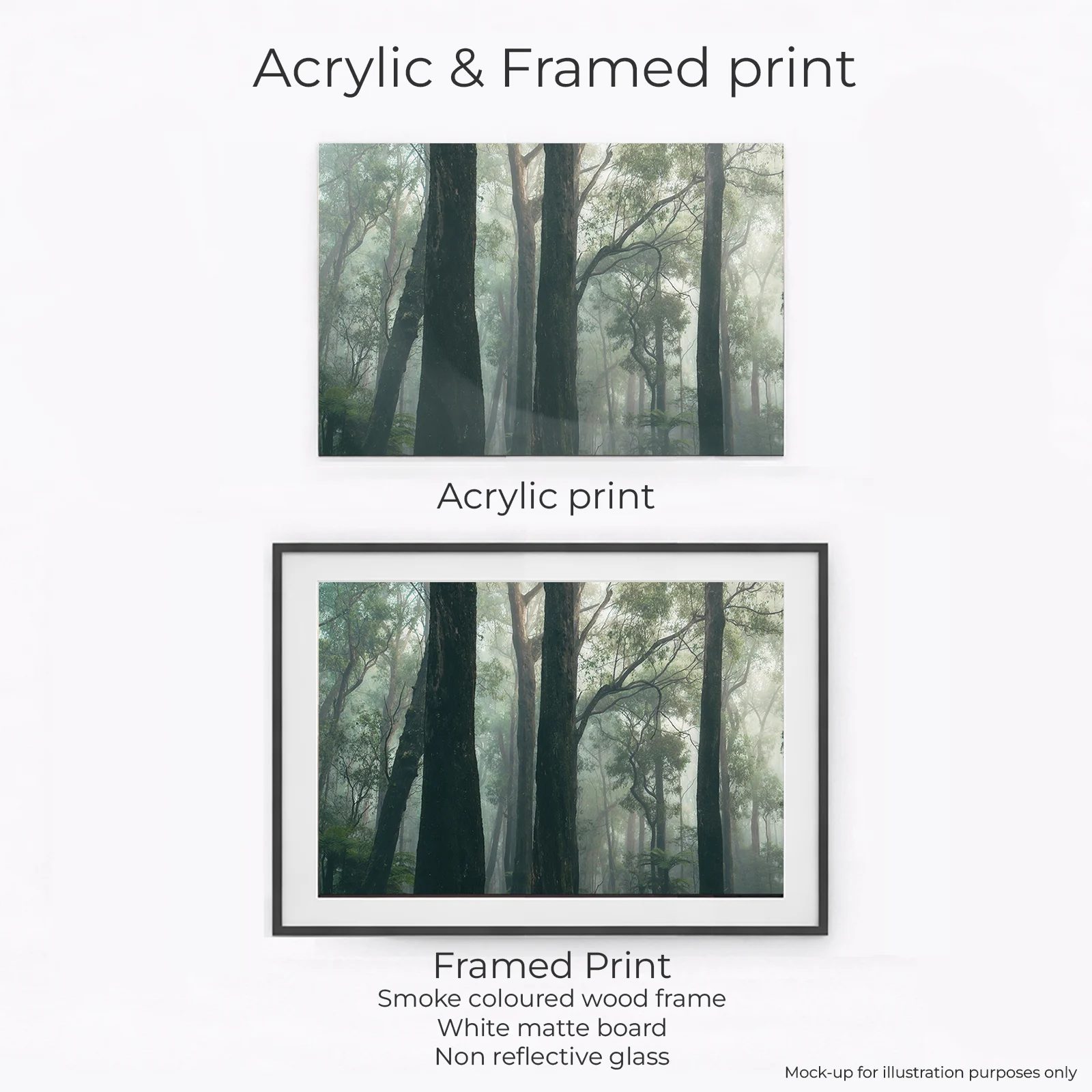 Yarra Ranges - Moody Trees - Image 2