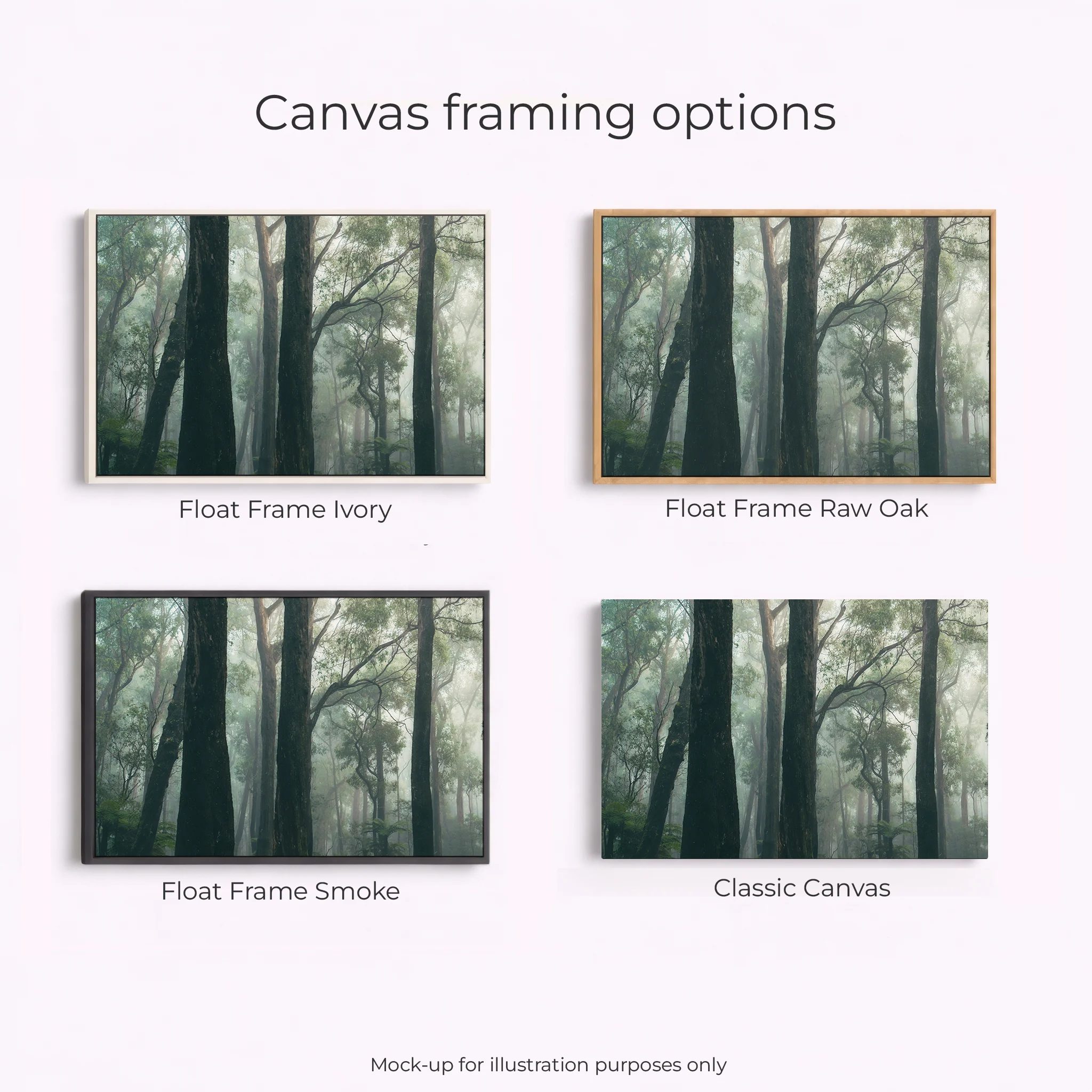 Yarra Ranges - Moody Trees - Image 3