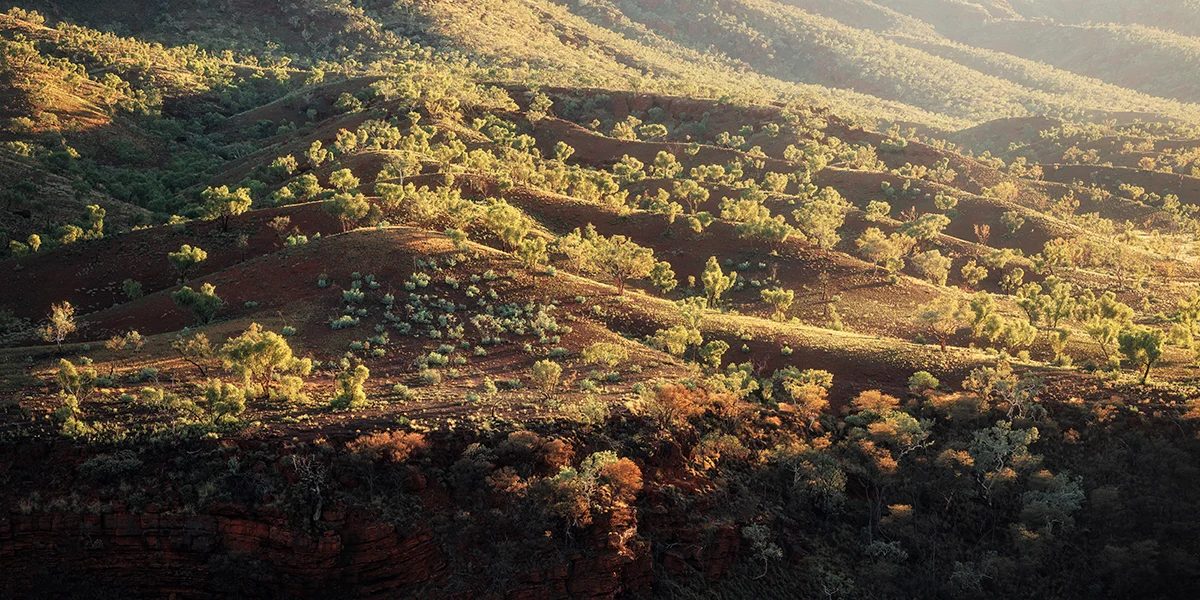 The Pilbara - Munjina East Gorge Panoramic