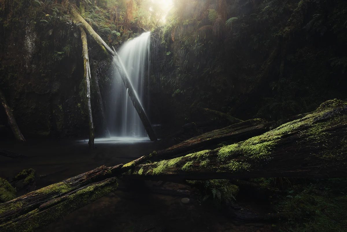 Otways - Glowing Falls