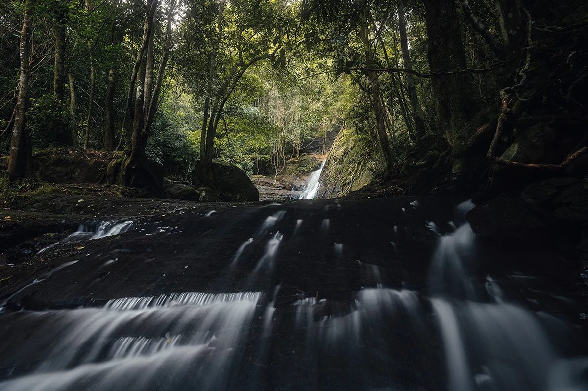 Southern Highlands - Cascades Walk