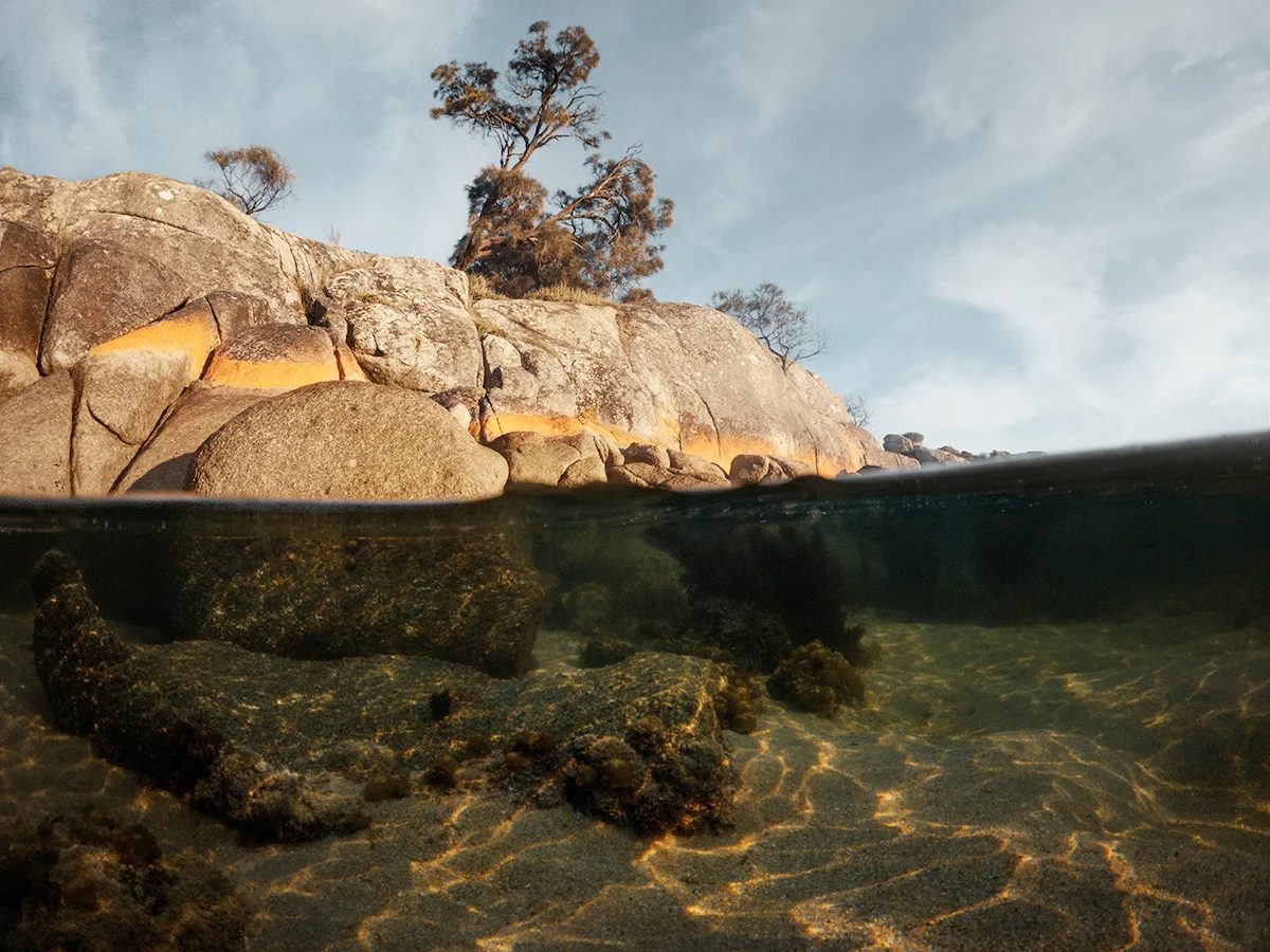 Tasmania - Binalong Bay Underwater