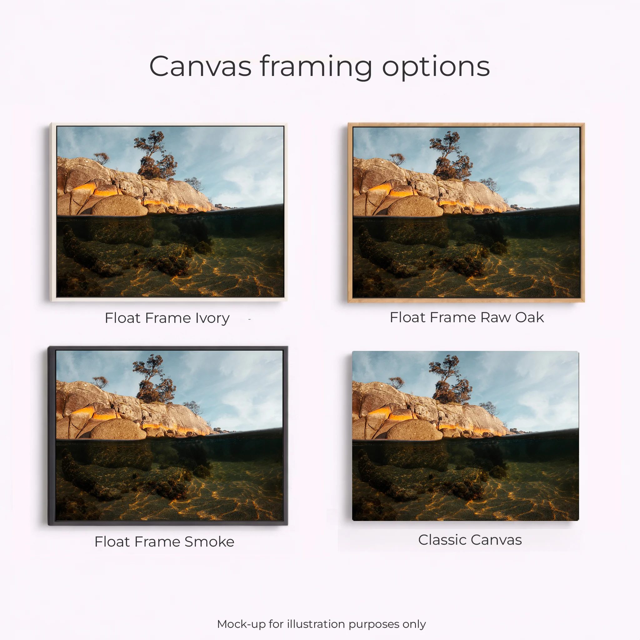 Tasmania - Binalong Bay Underwater - Image 2