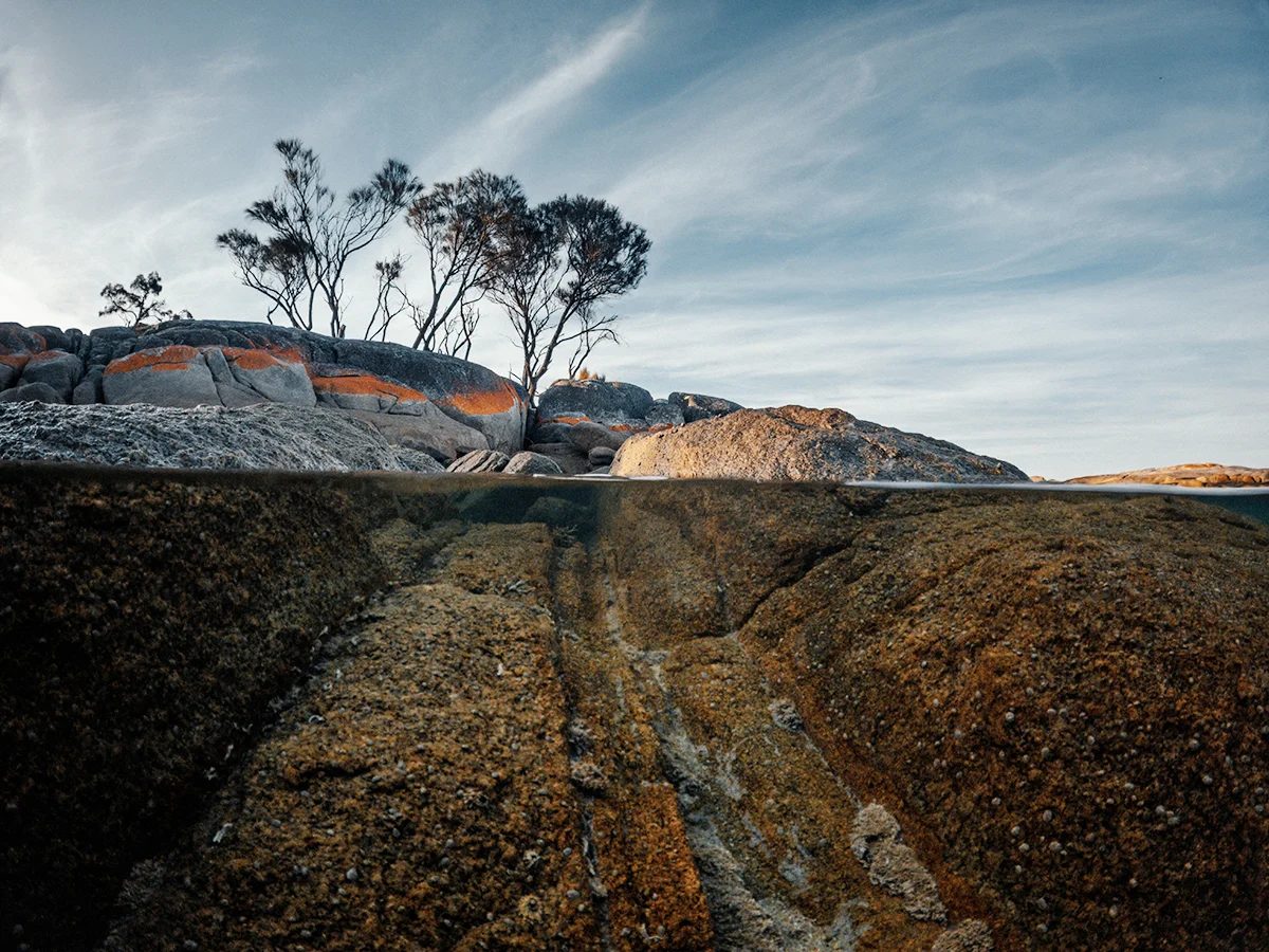 Tasmania - Bay Of Fires Underwater Rocks