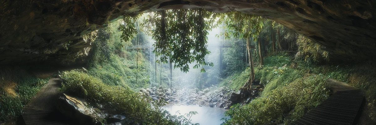Northern Tablelands - Dorrigo Crystal Shower Falls Panoramic