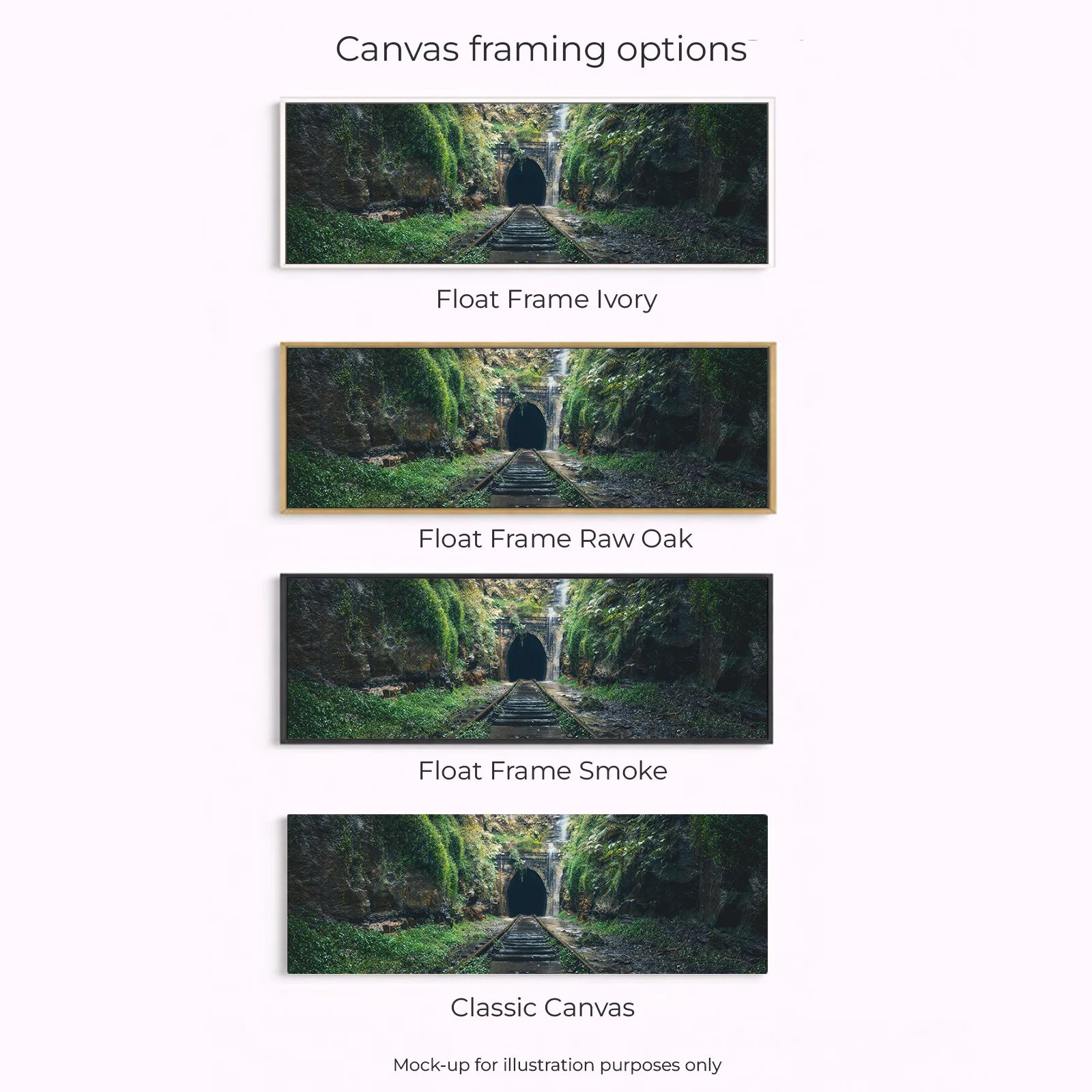 Illawarra Coast - Abandoned Train Tunnel - Image 3