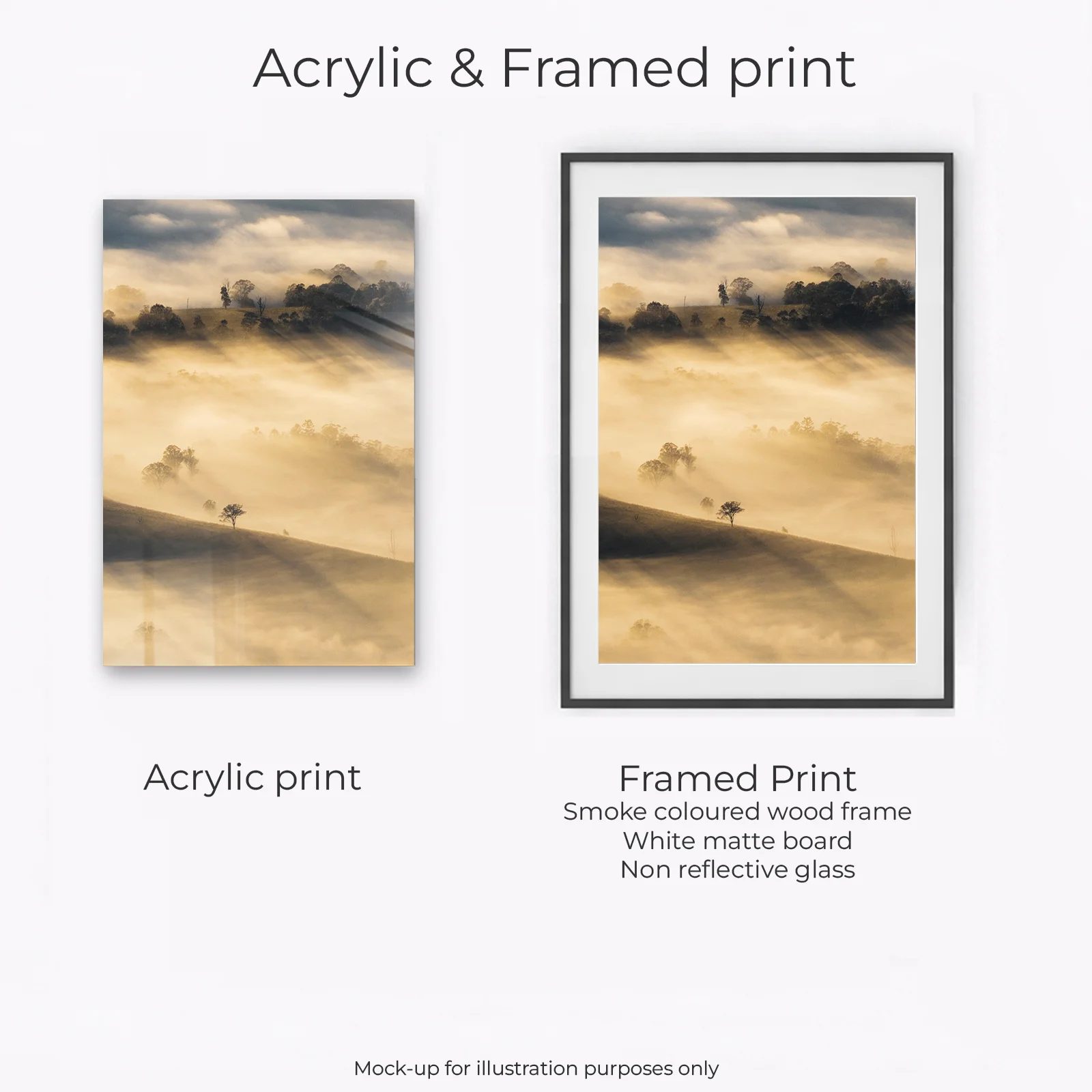 Border Ranges National Park - Sunrise Rays Portrait - Image 2