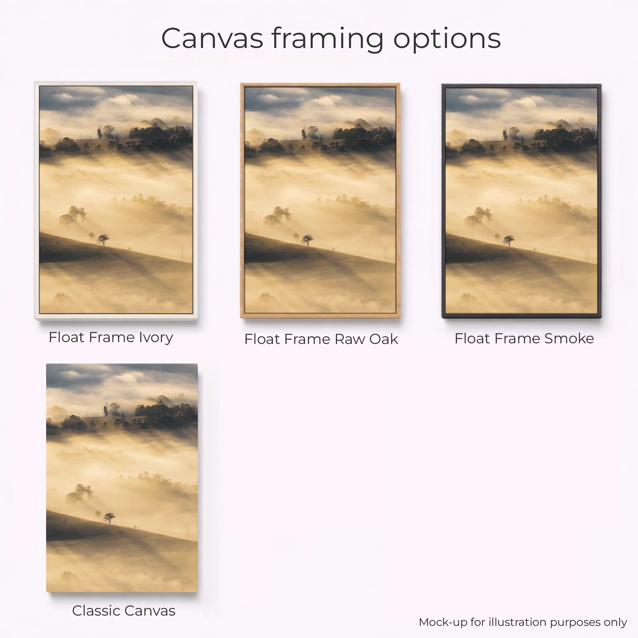 Border Ranges National Park - Sunrise Rays Portrait - Image 3