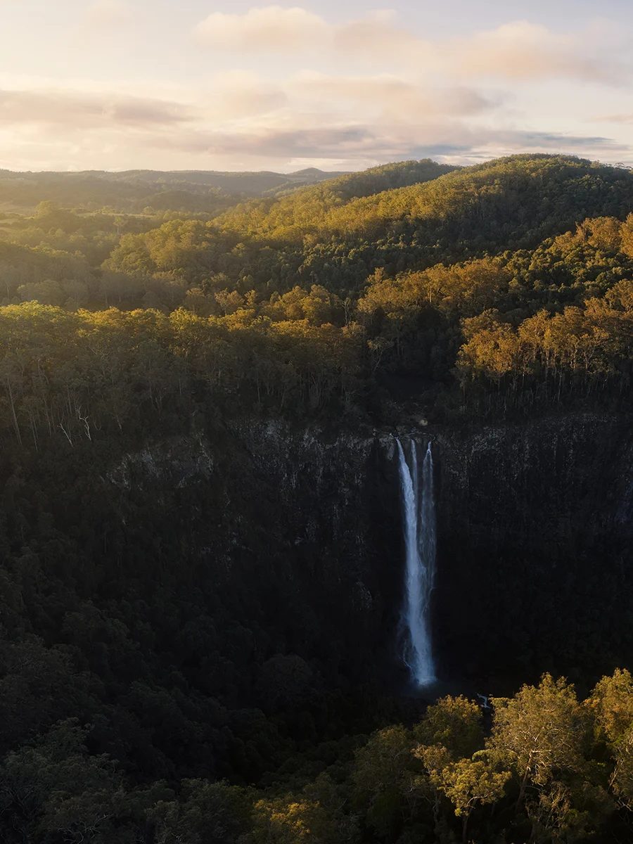 Mid North Coast - Ellenborough Falls Portrait