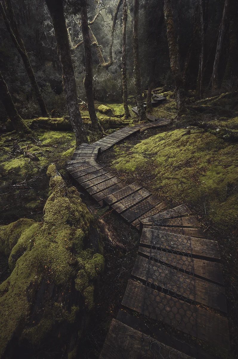 Tasmania - Cradle Mountain Tracks