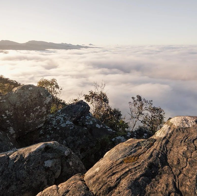 Grampians National Park - Sunrise over the clouds at Reed Lookout