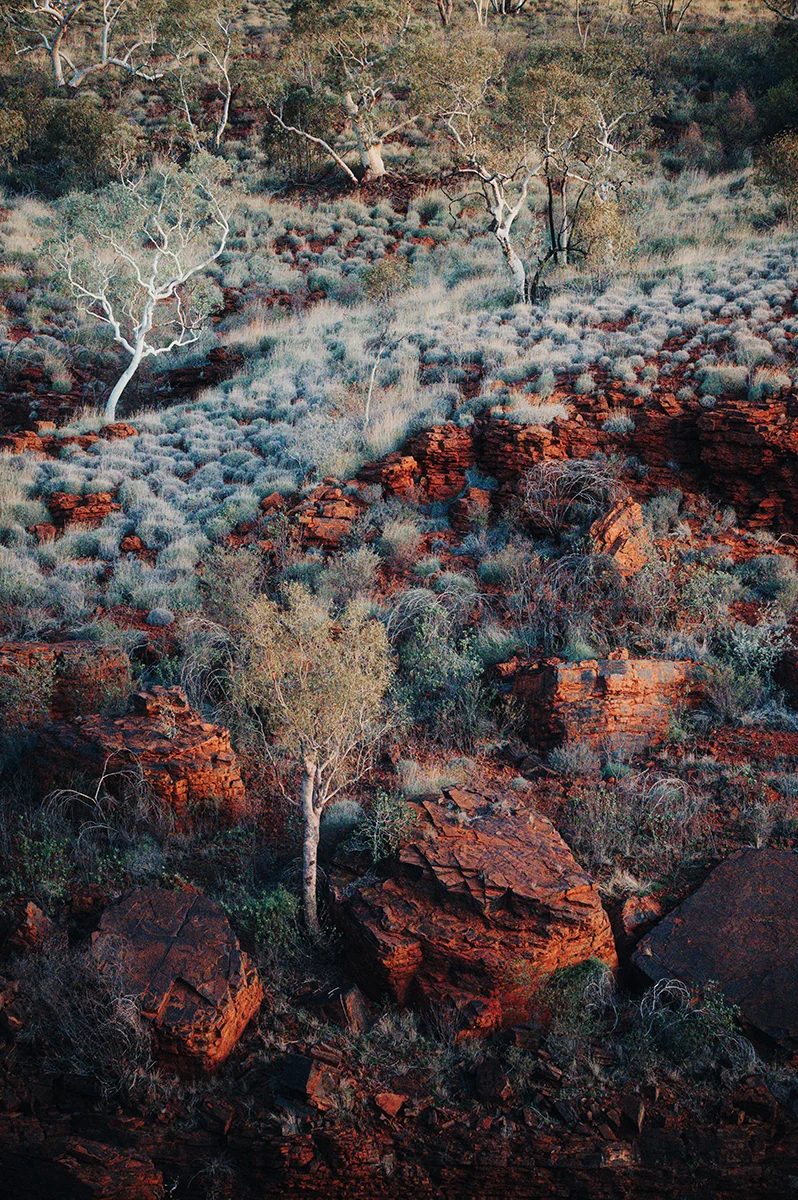 The Pilbara - Karijini Gorge Colours