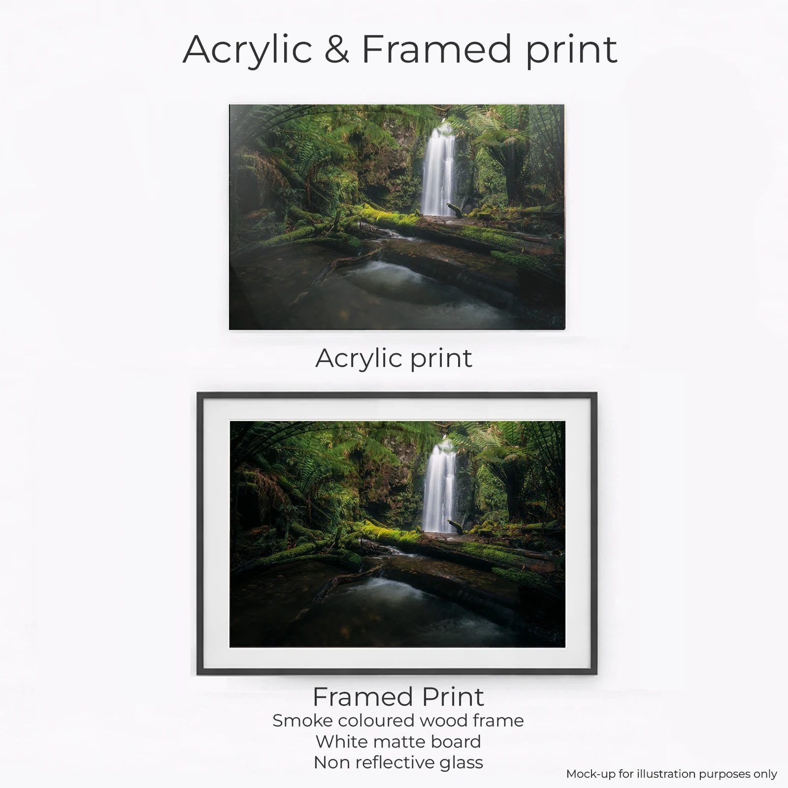 Otways - Wild Dog Falls River - Image 2