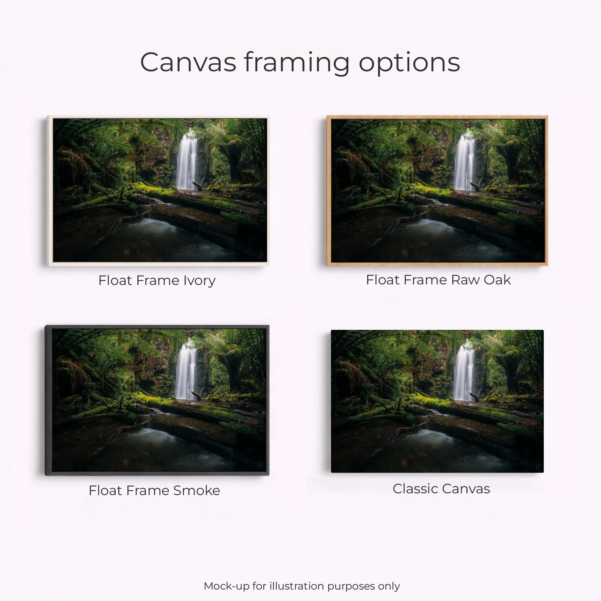 Otways - Wild Dog Falls River - Image 3