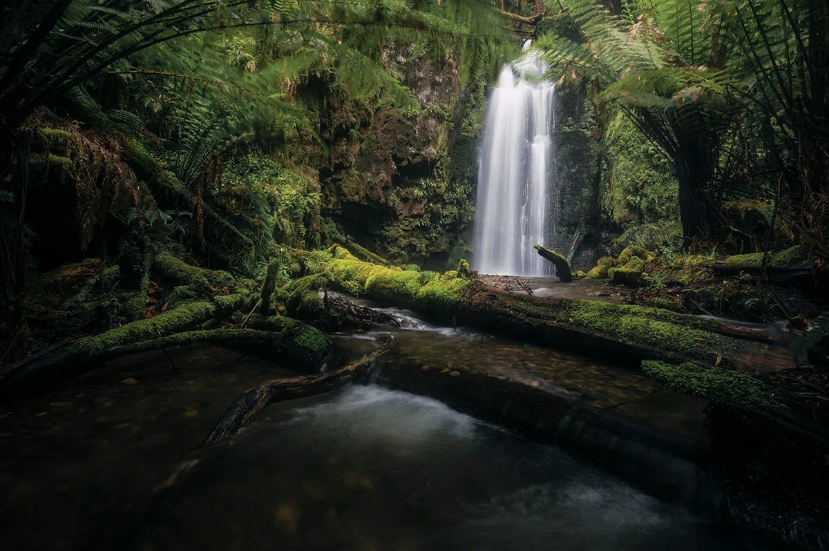 Otways - Wild Dog Falls River