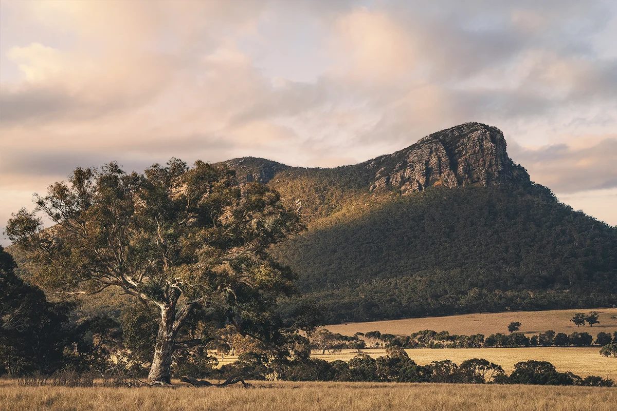 Grampians National Park - Mount Sturgeon