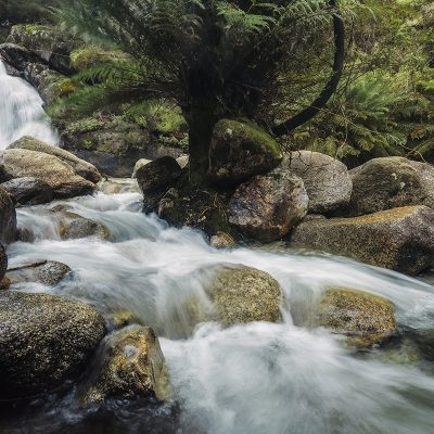 Mount Buffalo - Ladies Bath Falls Flow